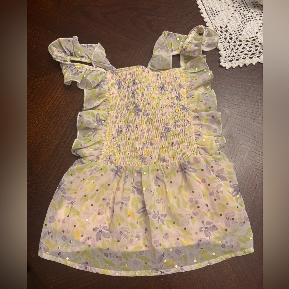 NWT Isobella & Chloe Smocked Shirt Girls size 10